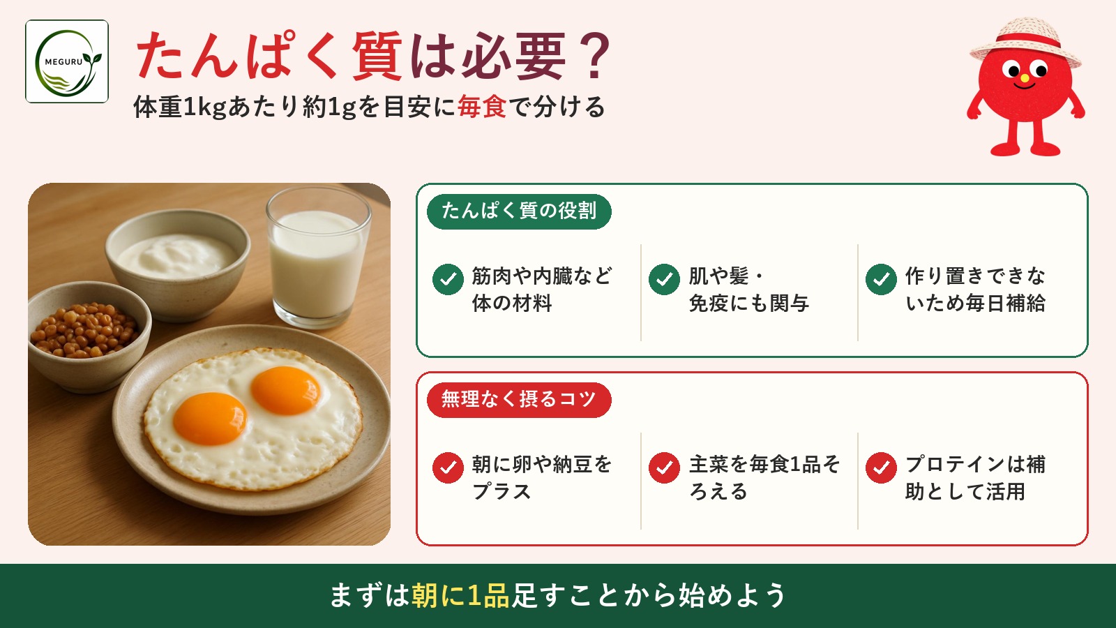 たんぱく質は1日どれくらい必要？成人の目安量と食事での摂り方を管理栄養士が解説